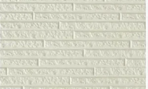 Cs Ivory White