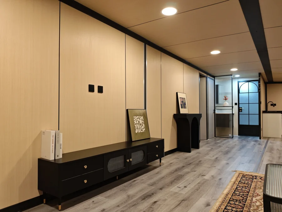 40ft expandable container house TV media wall and hallway
